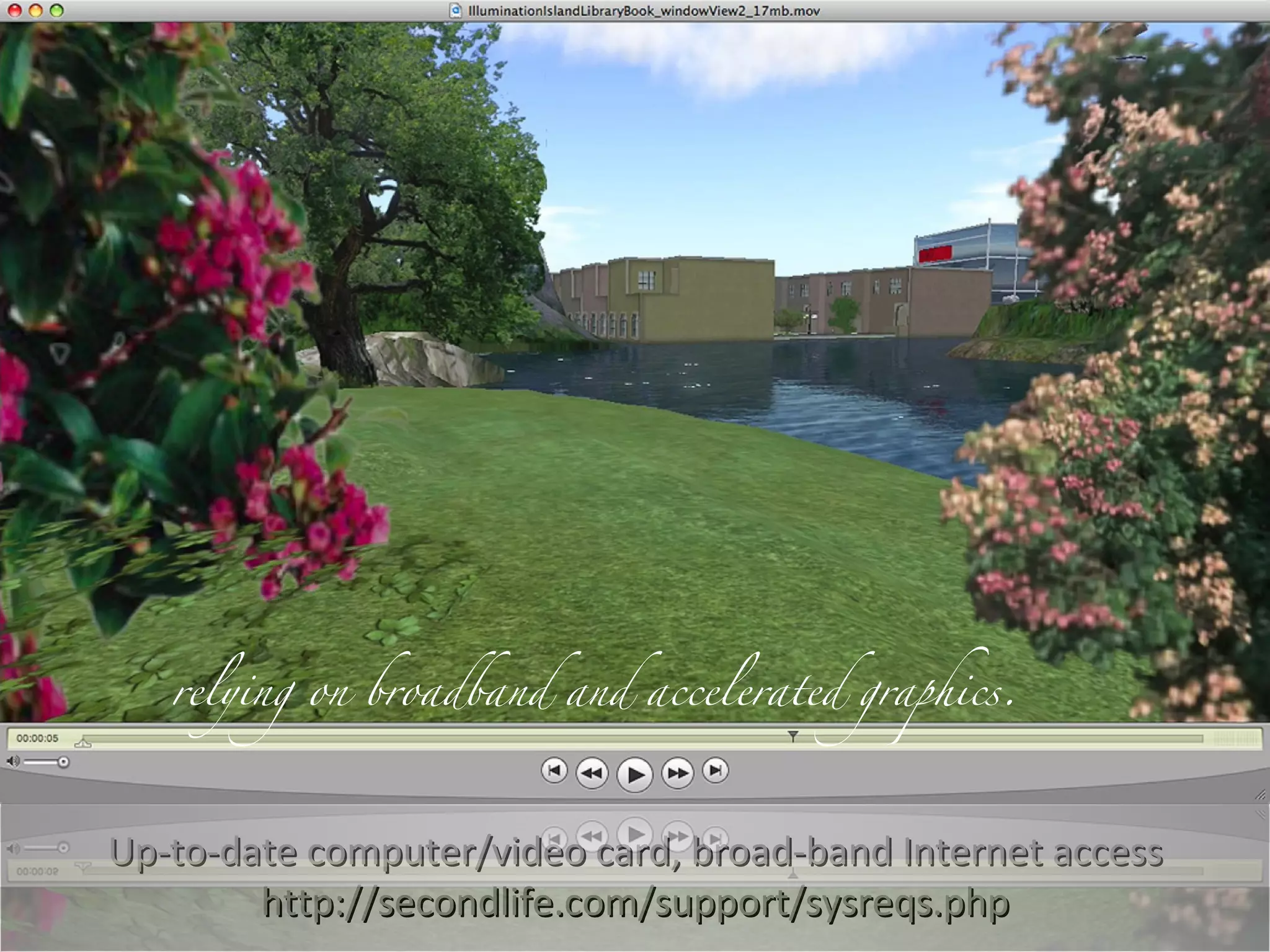 Up-to-date computer/video card, broad-band Internet access http://secondlife.com/support/sysreqs.php relying on broadband and accelerated graphics.  
