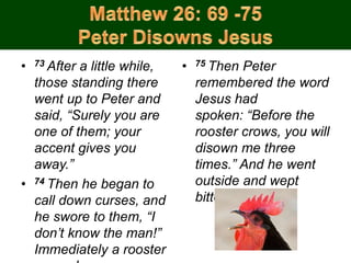 • 73 After a little while,
those standing there
went up to Peter and
said, “Surely you are
one of them; your
accent gives you
away.”
• 74 Then he began to
call down curses, and
he swore to them, “I
don’t know the man!”
Immediately a rooster
• 75 Then Peter
remembered the word
Jesus had
spoken: “Before the
rooster crows, you will
disown me three
times.” And he went
outside and wept
bitterly.
 