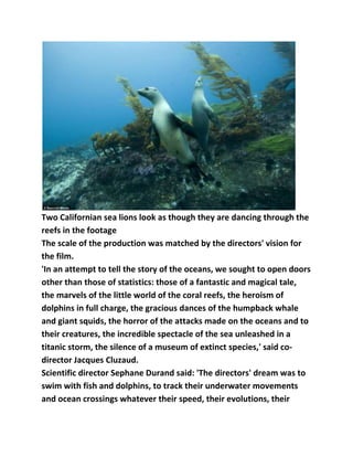 Two Californian sea lions look as though they are dancing through the
reefs in the footage
The scale of the production was matched by the directors' vision for
the film.
'In an attempt to tell the story of the oceans, we sought to open doors
other than those of statistics: those of a fantastic and magical tale,
the marvels of the little world of the coral reefs, the heroism of
dolphins in full charge, the gracious dances of the humpback whale
and giant squids, the horror of the attacks made on the oceans and to
their creatures, the incredible spectacle of the sea unleashed in a
titanic storm, the silence of a museum of extinct species,' said codirector Jacques Cluzaud.
Scientific director Sephane Durand said: 'The directors' dream was to
swim with fish and dolphins, to track their underwater movements
and ocean crossings whatever their speed, their evolutions, their

 