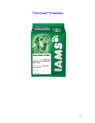 shane iams