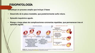 FISIOPATOLOGÍA
constituye un proceso amplio que incluye 3 fases
• Desarrollo de la placa inestable, que posteriormente sufre rotura.
• Episodio isquémico agudo.
• Riesgo a largo plazo de complicaciones coronarias repetidas, que permanecen tras el
episodio agudo.
 