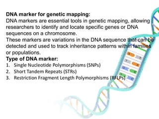 DNA marker for genetic mapping:
DNA markers are essential tools in genetic mapping, allowing
researchers to identify and locate specific genes or DNA
sequences on a chromosome.
These markers are variations in the DNA sequence that can be
detected and used to track inheritance patterns within families
or populations.
Type of DNA marker:
1. Single Nucleotide Polymorphisms (SNPs)
2. Short Tandem Repeats (STRs)
3. Restriction Fragment Length Polymorphisms (RFLPs)
 