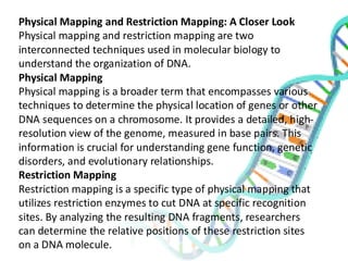 Physical Mapping and Restriction Mapping: A Closer Look
Physical mapping and restriction mapping are two
interconnected techniques used in molecular biology to
understand the organization of DNA.
Physical Mapping
Physical mapping is a broader term that encompasses various
techniques to determine the physical location of genes or other
DNA sequences on a chromosome. It provides a detailed, high-
resolution view of the genome, measured in base pairs. This
information is crucial for understanding gene function, genetic
disorders, and evolutionary relationships.
Restriction Mapping
Restriction mapping is a specific type of physical mapping that
utilizes restriction enzymes to cut DNA at specific recognition
sites. By analyzing the resulting DNA fragments, researchers
can determine the relative positions of these restriction sites
on a DNA molecule.
 