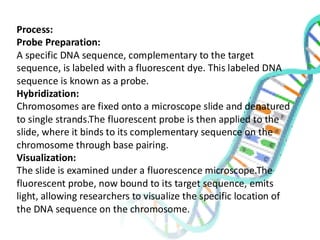 Process:
Probe Preparation:
A specific DNA sequence, complementary to the target
sequence, is labeled with a fluorescent dye. This labeled DNA
sequence is known as a probe.
Hybridization:
Chromosomes are fixed onto a microscope slide and denatured
to single strands.The fluorescent probe is then applied to the
slide, where it binds to its complementary sequence on the
chromosome through base pairing.
Visualization:
The slide is examined under a fluorescence microscope.The
fluorescent probe, now bound to its target sequence, emits
light, allowing researchers to visualize the specific location of
the DNA sequence on the chromosome.
 