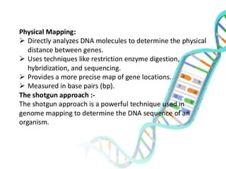 Physical Mapping:
➢ Directly analyzes DNA molecules to determine the physical
distance between genes.
➢ Uses techniques like restriction enzyme digestion,
hybridization, and sequencing.
➢ Provides a more precise map of gene locations.
➢ Measured in base pairs (bp).
The shotgun approach :-
The shotgun approach is a powerful technique used in
genome mapping to determine the DNA sequence of an
organism.
 