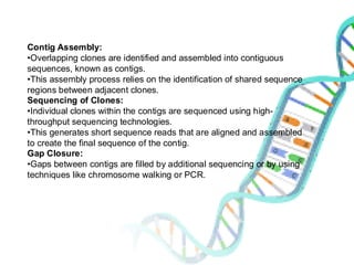 Contig Assembly:
•Overlapping clones are identified and assembled into contiguous
sequences, known as contigs.
•This assembly process relies on the identification of shared sequence
regions between adjacent clones.
Sequencing of Clones:
•Individual clones within the contigs are sequenced using high-
throughput sequencing technologies.
•This generates short sequence reads that are aligned and assembled
to create the final sequence of the contig.
Gap Closure:
•Gaps between contigs are filled by additional sequencing or by using
techniques like chromosome walking or PCR.
 