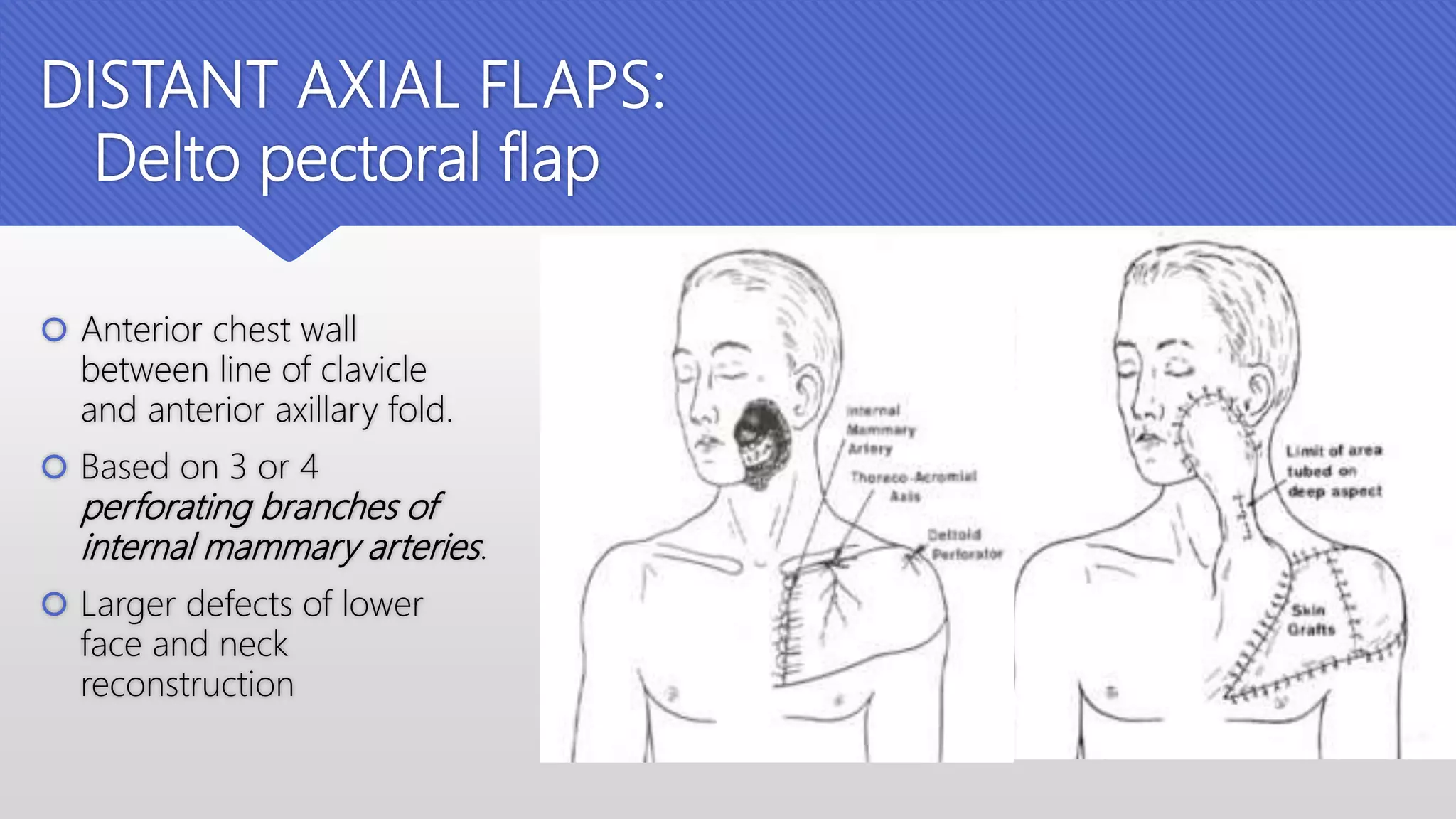 Grafts and flaps in head and neck | PPTX | First Aid | Injuries
