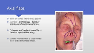 Grafts and flaps in head and neck | PPTX