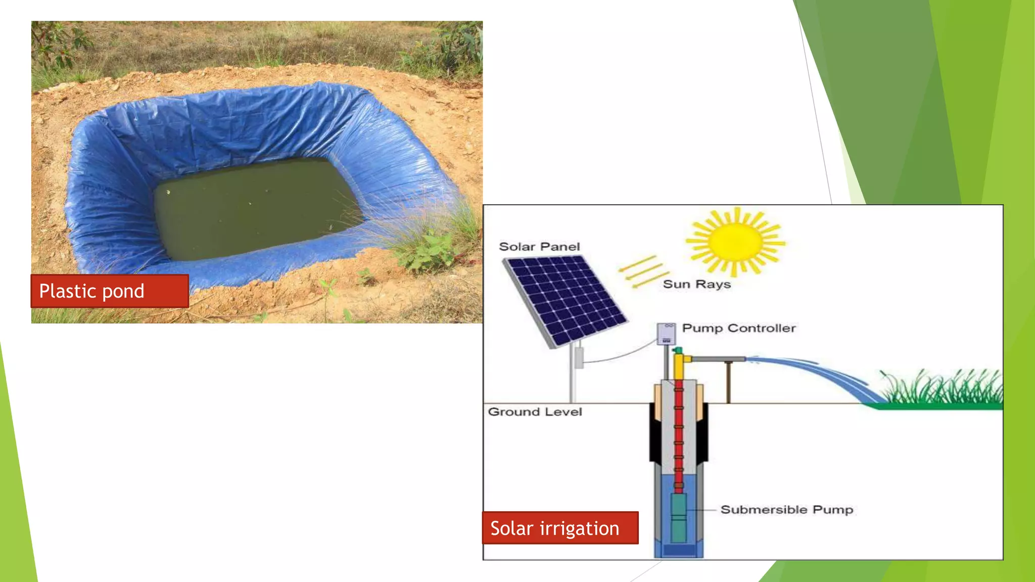 Plastic pond
Solar irrigation
 