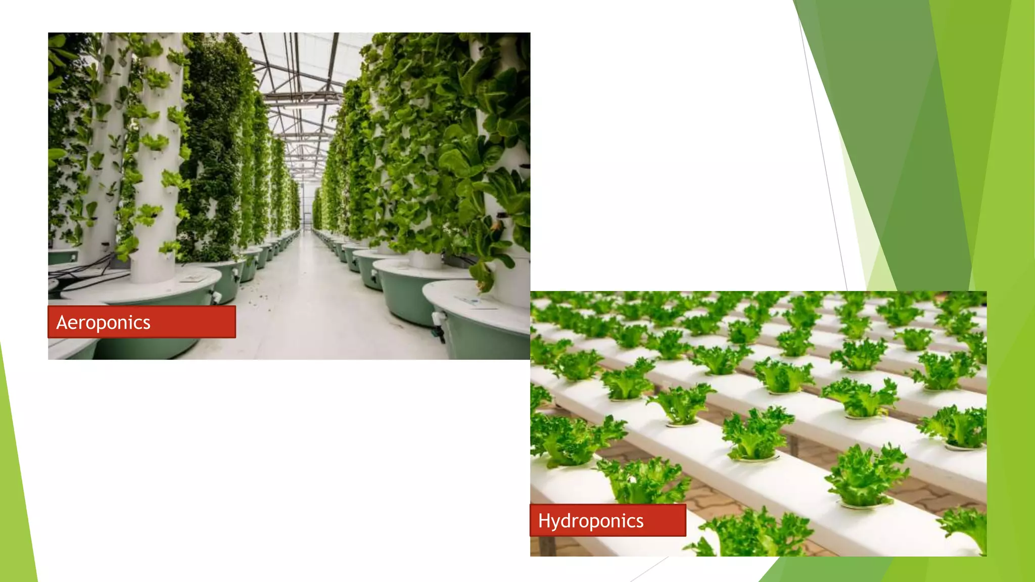Aeroponics
Hydroponics
 