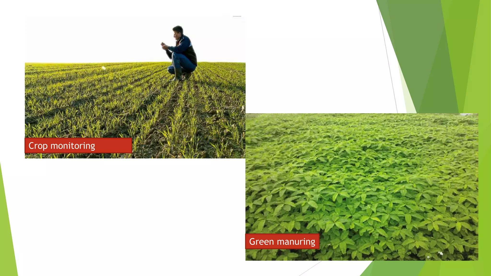 Crop monitoring
Green manuring
 