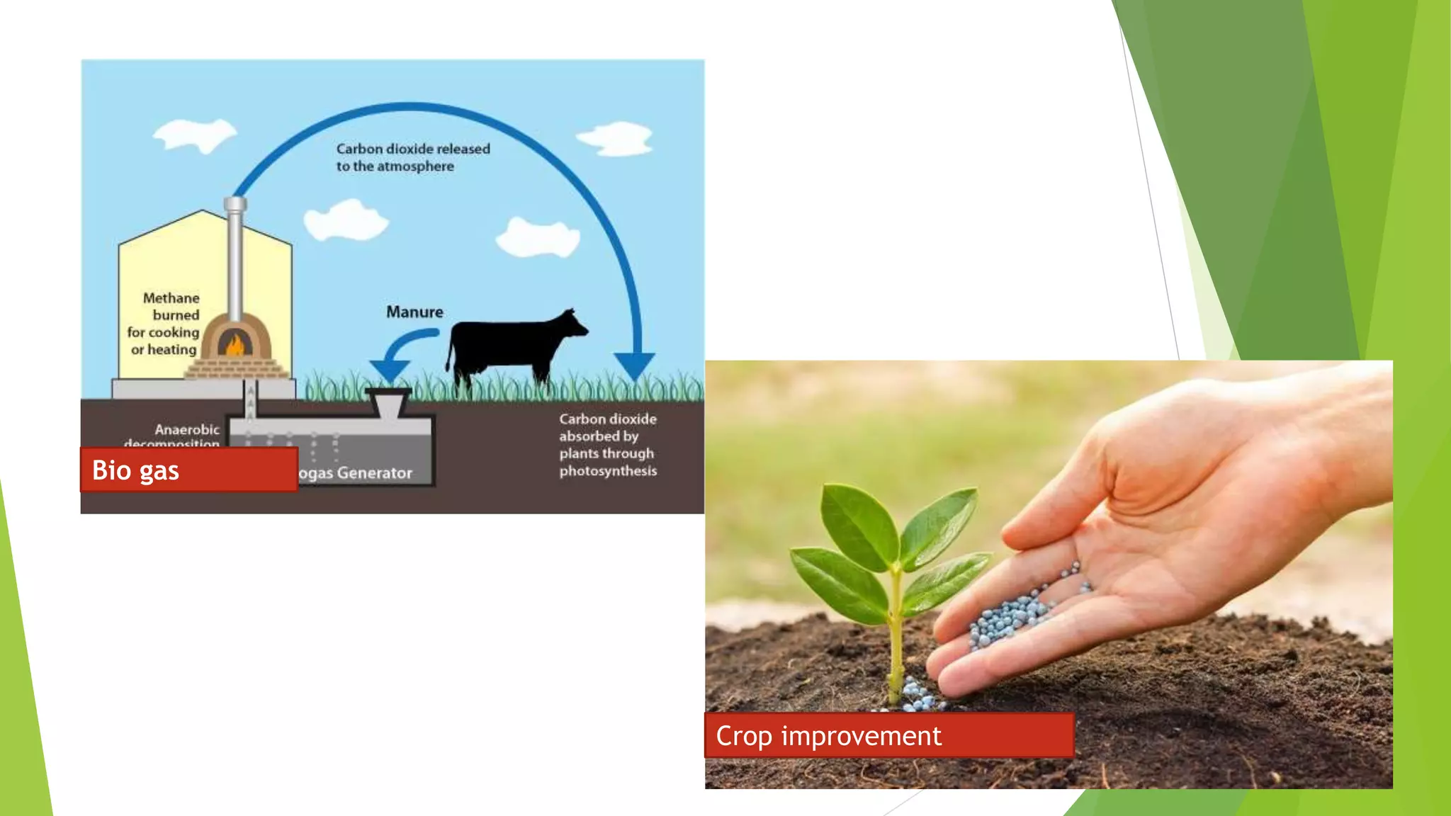 Bio gas
Crop improvement
 