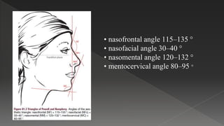 • nasofrontal angle 115–135 °
• nasofacial angle 30–40 °
• nasomental angle 120–132 °
• mentocervical angle 80–95 °
 