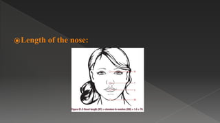 ⦿Length of the nose:
 