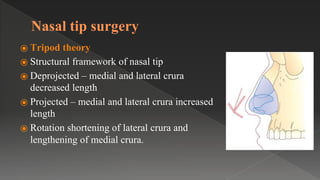 Nasal tip surgery
⦿ Tripod theory
⦿ Structural framework of nasal tip
⦿ Deprojected – medial and lateral crura
decreased length
⦿ Projected – medial and lateral crura increased
length
⦿ Rotation shortening of lateral crura and
lengthening of medial crura.
 