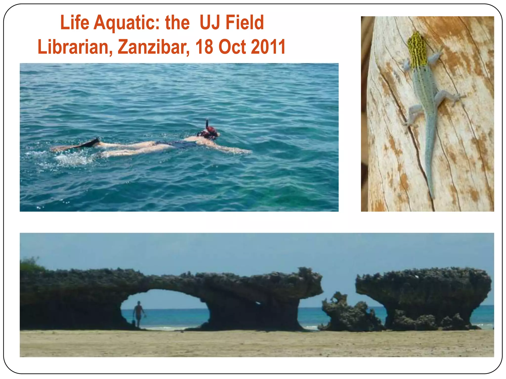 Life Aquatic: the UJ Field
Librarian, Zanzibar, 18 Oct 2011
 