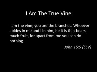 I Am The True VineI am the vine; you are the branches. Whoever abides in me and I in him, he it is that bears much fruit, for apart from me you can do nothing.John 15:5 (ESV)