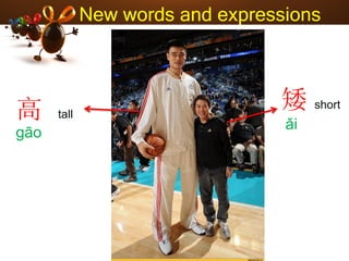 New words and expressions
高 tall
gāo
矮 short
ǎi
 