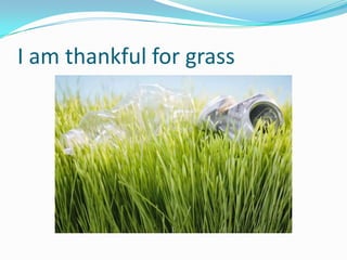 I am thankful for grass
 