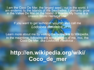 http://en.wikipedia.org/wiki/Coco_de_mer I am the Coco De Mer, the largest seed / nut in the world. I am endemic to the Islands of the Seychelles. I primarily grow in the Vallee De Mai on the Island of Praslin. My home is a Unesco World Heritage site. If you want to get technical, you can also call me Lodoicea maldivica   Learn more about me by visiting the below link to Wikipedia. In the meantime, following are some photos of me, moi, the Coco De Mer, aka  Lodoicea maldivica  . 