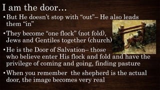 I am the door…
•But He doesn’t stop with “out”– He also leads
them “in”
•They become “one flock” (not fold),
Jews and Gentiles together (church)
•He is the Door of Salvation– those
who believe enter His flock and fold and have the
privilege of coming and going, finding pasture
•When you remember the shepherd is the actual
door, the image becomes very real
 