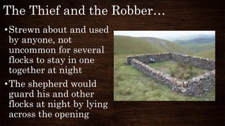 The Thief and the Robber…
•Strewn about and used
by anyone, not
uncommon for several
flocks to stay in one
together at night
•The shepherd would
guard his and other
flocks at night by lying
across the opening
 