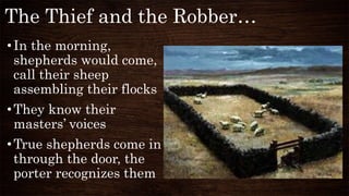 The Thief and the Robber…
•In the morning,
shepherds would come,
call their sheep
assembling their flocks
•They know their
masters’ voices
•True shepherds come in
through the door, the
porter recognizes them
 