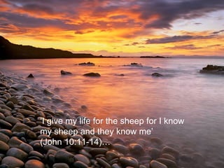‘ I give my life for the sheep for I know  my sheep and they know me’  (John 10:11-14)…  