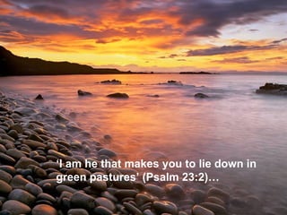 ‘ I am he that makes you to lie down in  green pastures’ (Psalm 23:2)…  