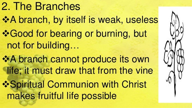 fruitful life bible about verses true vine the I am