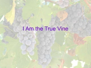 I Am the True Vine
 