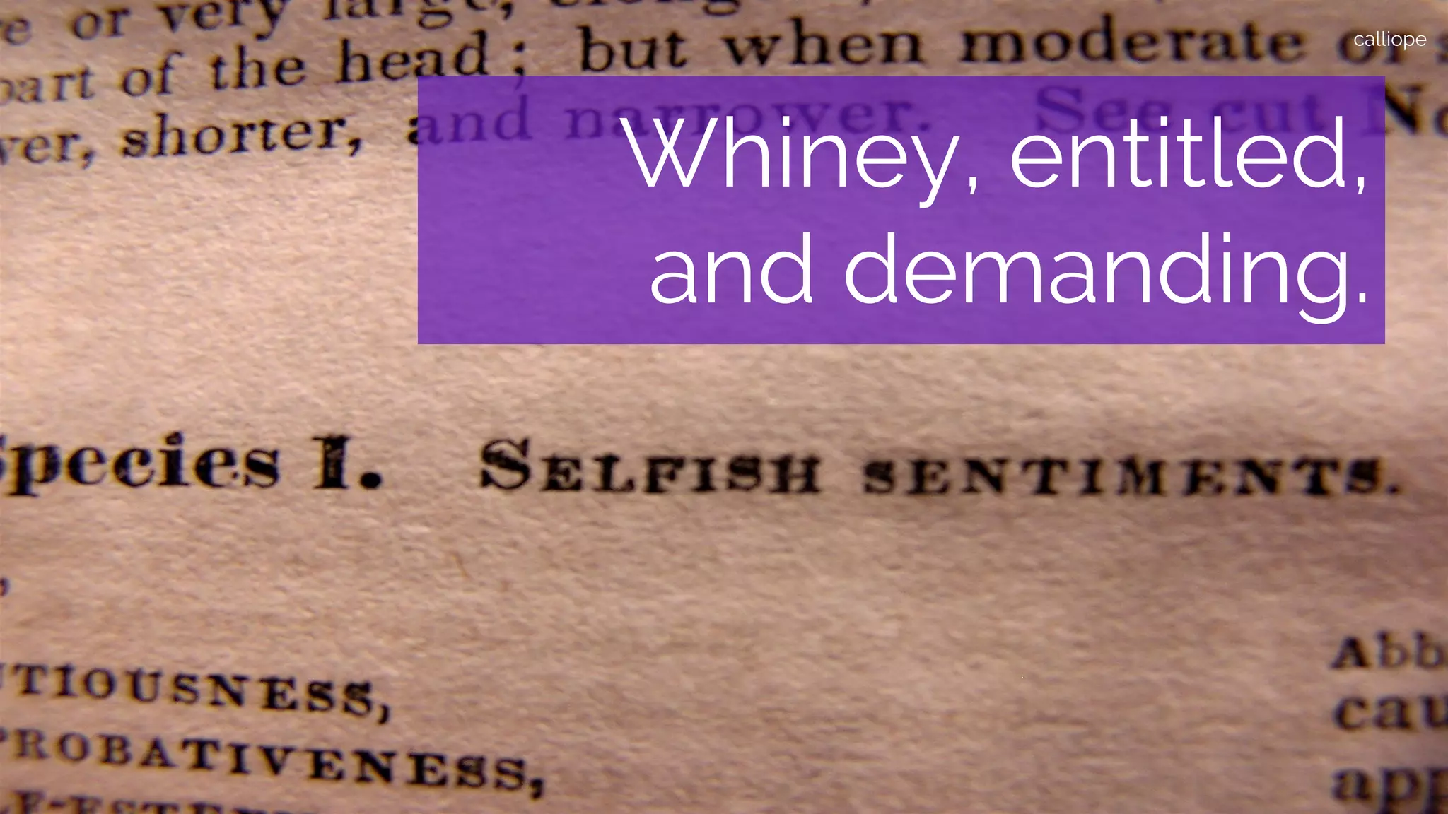 calliope
Whiney, entitled,
and demanding.
 