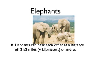 Elephants



• Elephants can hear each other at a distance
  of 21/2 miles [4 kilometers] or more.
 