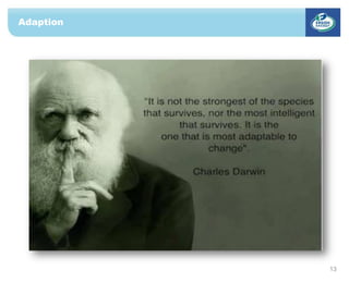 Adaption
13
 