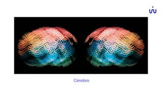 Cérebro
 