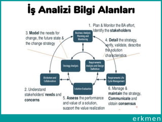 İş Analizi Bilgi Alanları
 
