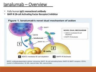 Ianalumab – Overview
• Fully human IgG1 monoclonal antibody
• BAFF-R (B-cell Activating Factor Receptor) inhibitor
 