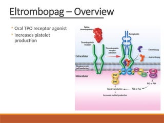 Eltrombopag – Overview
◦ Oral TPO receptor agonist
◦ Increases platelet
production
 