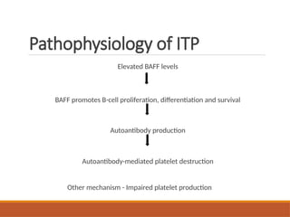 Pathophysiology of ITP
Elevated BAFF levels
BAFF promotes B-cell proliferation, differentiation and survival
Autoantibody production
Autoantibody-mediated platelet destruction
Other mechanism - Impaired platelet production
 
