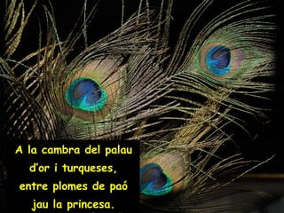 A la cambra del palau d’or i turqueses, entre plomes de paó jau la princesa. 