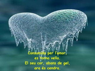 Consumida per l’amor, es torna vella. El seu cor, abans de gel, ara és cendra. 