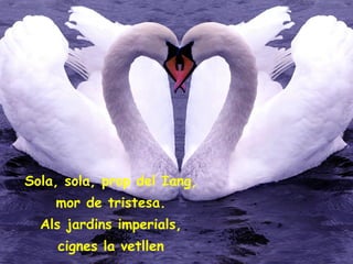 Feu clic per afegir el text Sola, sola, prop del Iang, mor de tristesa. Als jardins imperials, cignes la vetllen 