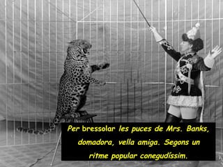 Per  bressolar  les puces de Mrs. Banks, domadora, vella amiga. Segons un ritme popular conegudíssim. 