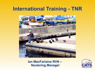 International Training - TNR ,[object Object],[object Object]