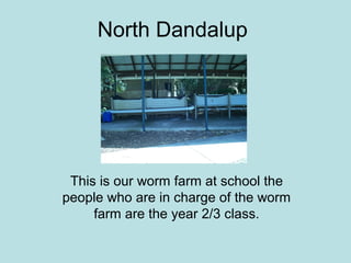 North Dandalup
This is our worm farm at school the
people who are in charge of the worm
farm are the year 2/3 class.
 