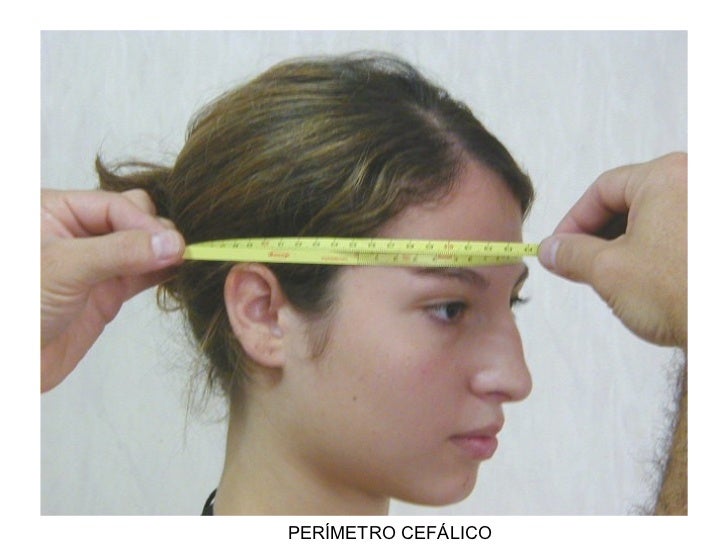 Resultado de imagen de antropometrÃa miden cabezas de adolescentes
