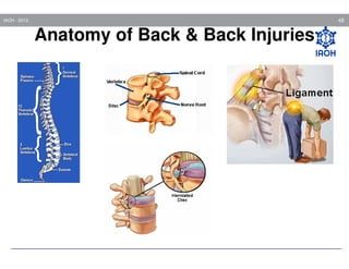 48

IAOH - 2013

Anatomy of Back & Back Injuries

Knowing what
causes back injuries
can help you prevent
them.

 