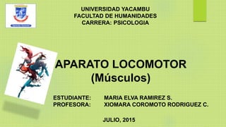 APARATO LOCOMOTOR
(Músculos)
UNIVERSIDAD YACAMBU
FACULTAD DE HUMANIDADES
CARRERA: PSICOLOGIA
ESTUDIANTE: MARIA ELVA RAMIREZ S.
PROFESORA: XIOMARA COROMOTO RODRIGUEZ C.
JULIO, 2015
 