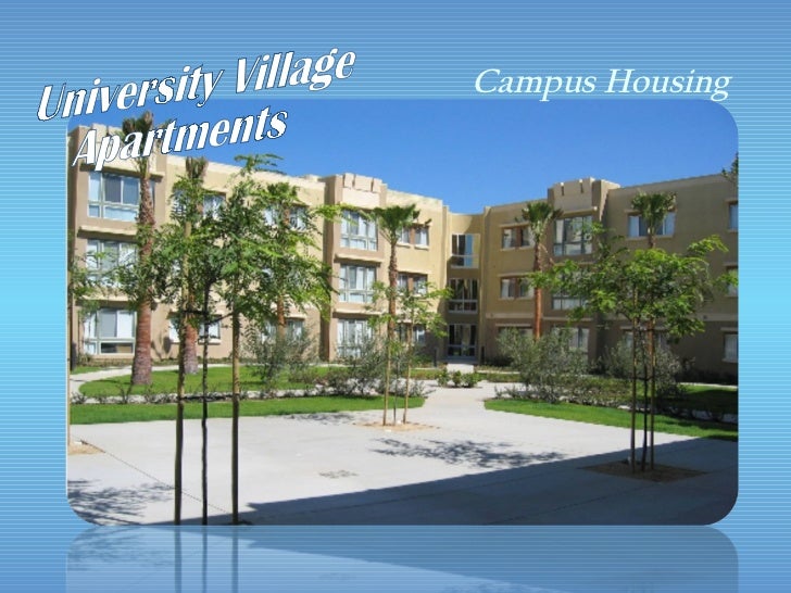 american language and culture institute california state university