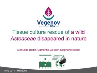 Tissue culture rescue of a wild Asteaceae disapeared in nature Manuelle Bodin, Catherine Gautier, Stéphane Buord 
IAPB 2014 – Melbourne  